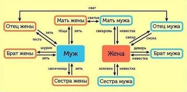 отец супруги обращается к отцу супруга