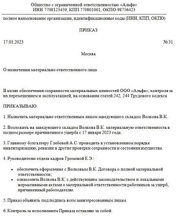 Пример официального указания для лица, несущего материальную ответственность